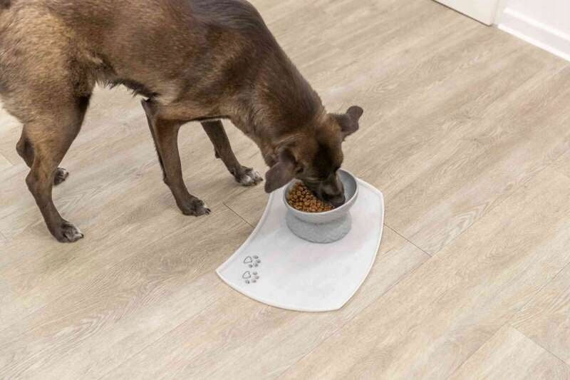 Trixie Raised bowl for dog ceramic grey 0.35l/17cm Type for folded breeds