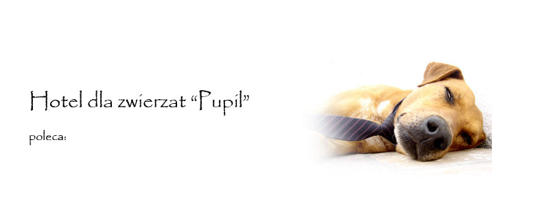 Trixie Silicone Bowl Pad for Dogs and Cats Type other