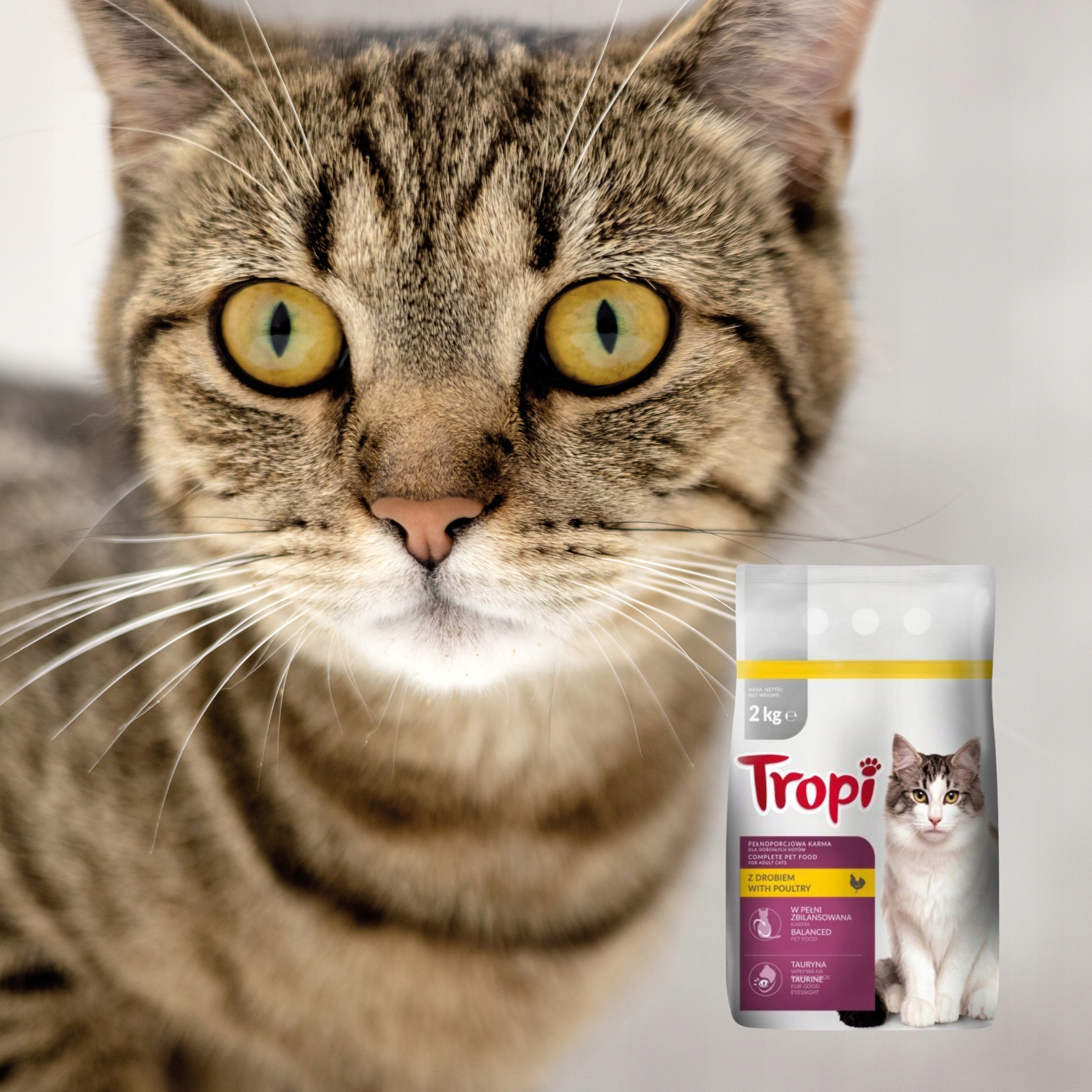 Tropi Dry Cat Food Poultry with Chicken Complete with Poultry 2 Kg Manufacturer code 802371