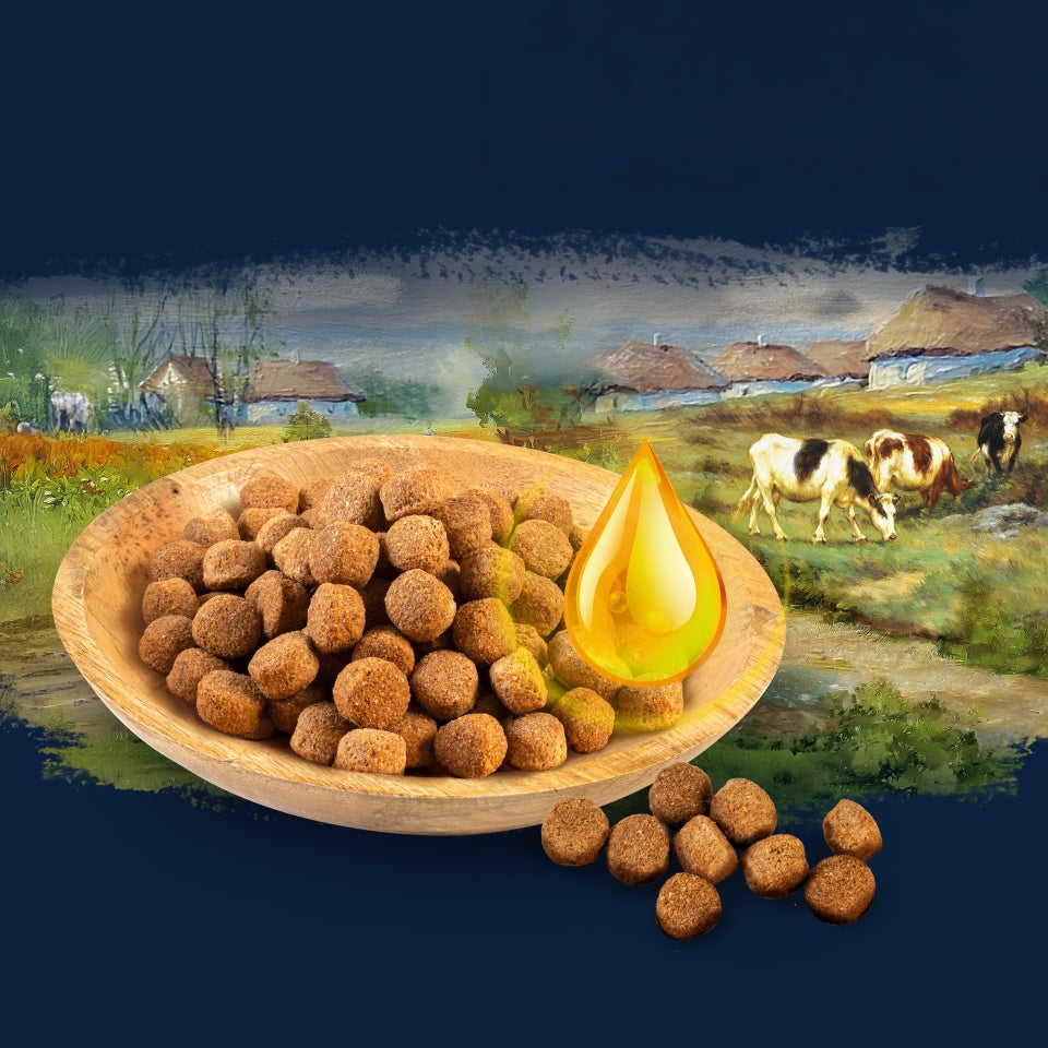 TropiDog Boneto Complete Dry Food for Adult Dogs 10kg Beef Manufacturer code 54517