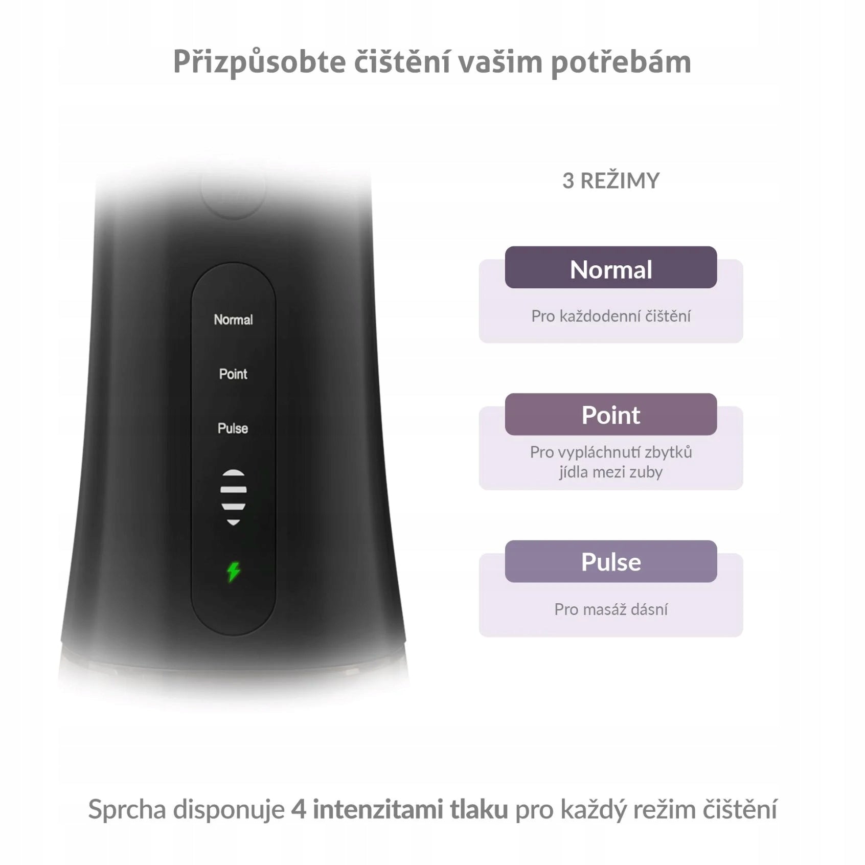 TrueLife AquaFloss Compact L100 Black - ústní sprcha Brand TrueLife