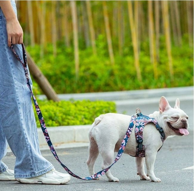Truelove Dog Leash Navy Blue Poppy L EAN (GTIN) 6971818798219