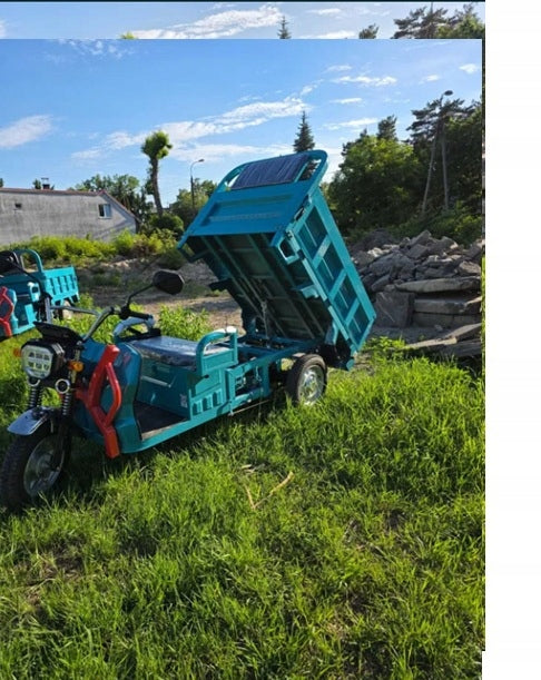 Tuk tuk Electric Tricycle Vehicle E-TUK 800W 32AH hauler quad melex Brand no brand