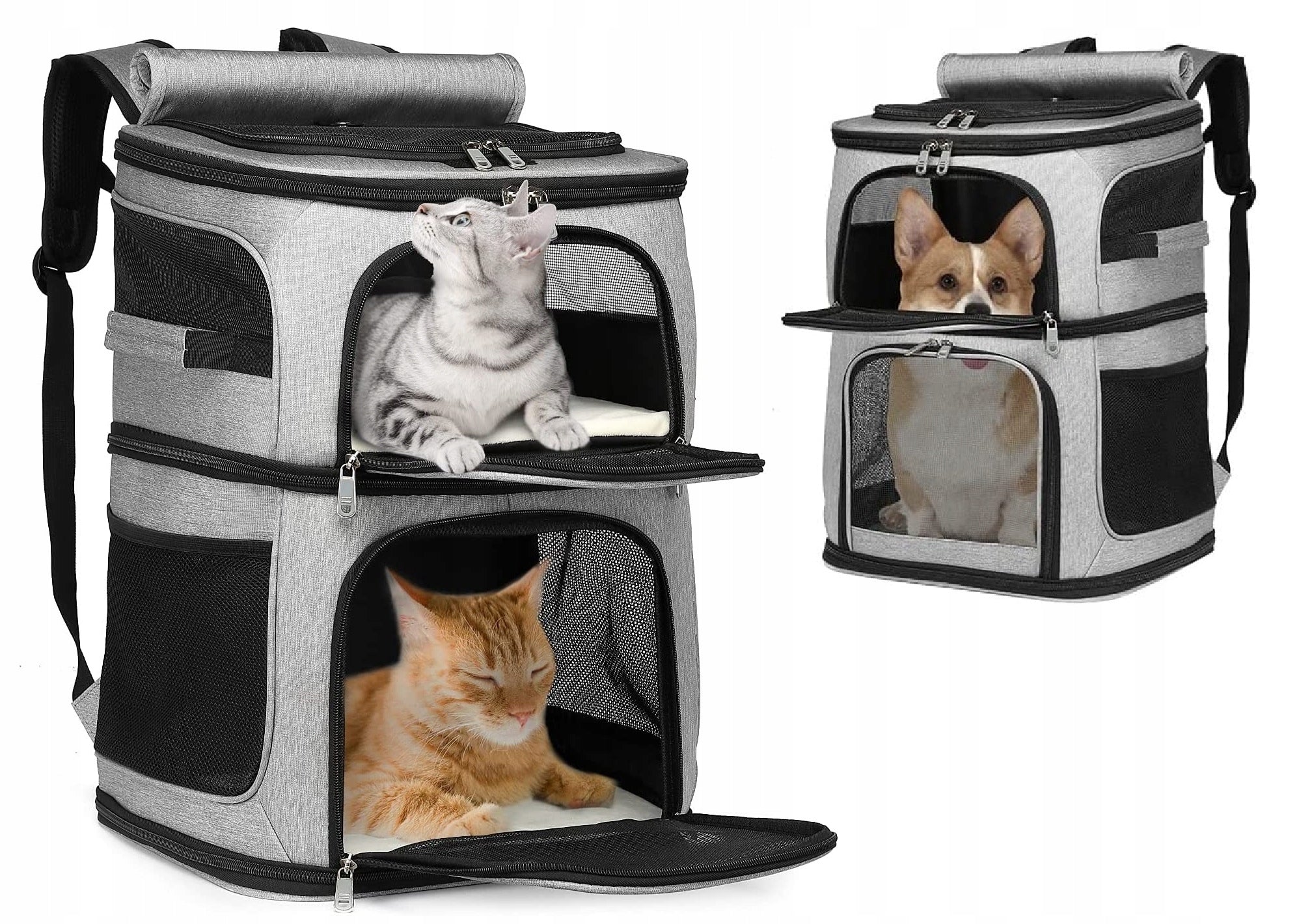 Two-level transporter backpack for dogs/cats (I210) qo