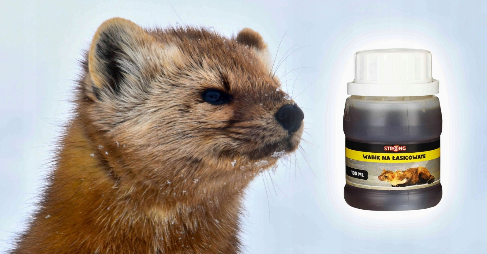 ULTRA STRONG LURE FOR MARTENS FOX WEASELS FOR TRAP GRIPPER CAGE STRONG Brand Strong