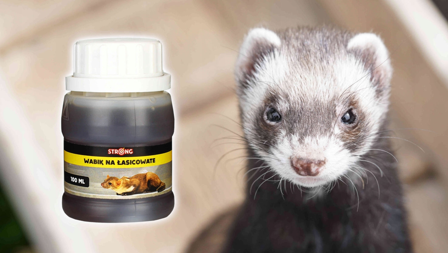ULTRA STRONG LURE FOR MARTENS FOX WEASELS FOR TRAP GRIPPER CAGE STRONG Kind liquid