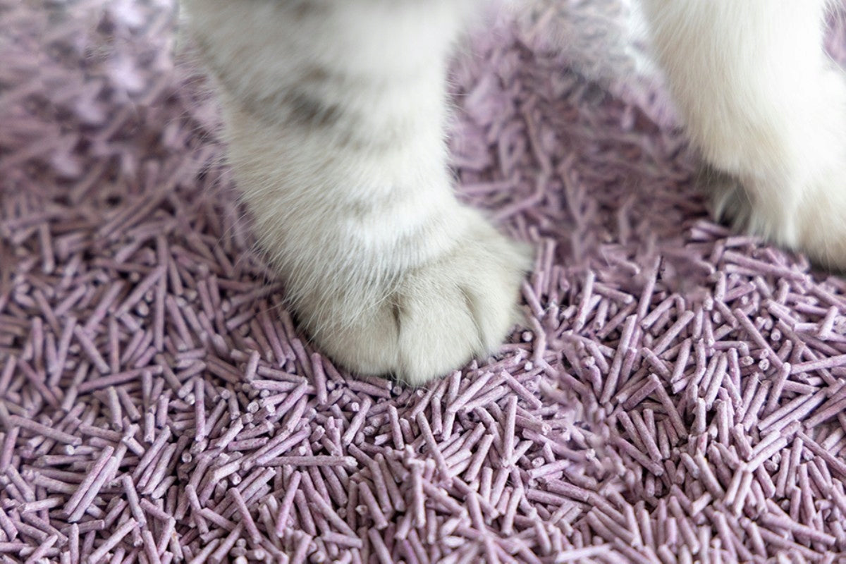 UNIQ PETS Cat litter tofu biodegradable 2,5kg / 6l lavender Trade name Żwirek tofu lawenda biodegradowalny 2,5kg