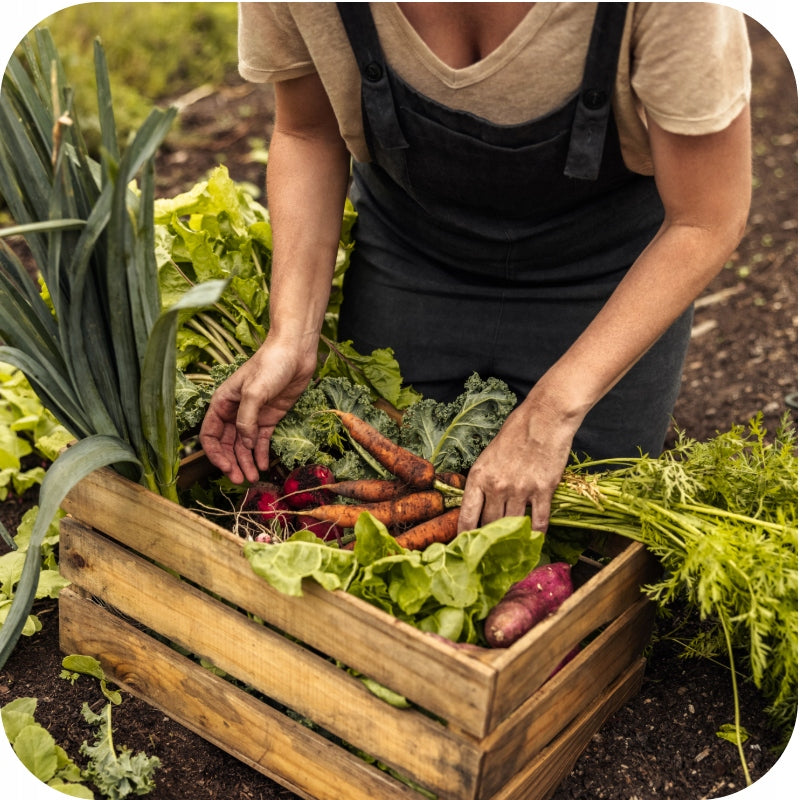UNIVERSAL GARDEN FERTILIZER SIARKOPOL 25KG HEALTHY VEGETABLES FRUIT LUSH FLOWERS Manufacturer code Siarkopol uniwersalny 25kg