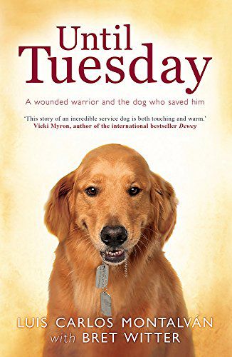 Bis Dienstag: Ein verwundeter Krieger und der Golden Retriever, der ihn rettete 