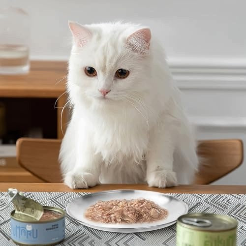 UOCAI 2 FLAT STAINLESS STEEL CAT BOWLS 14 CM CAT PAN Brand Natural