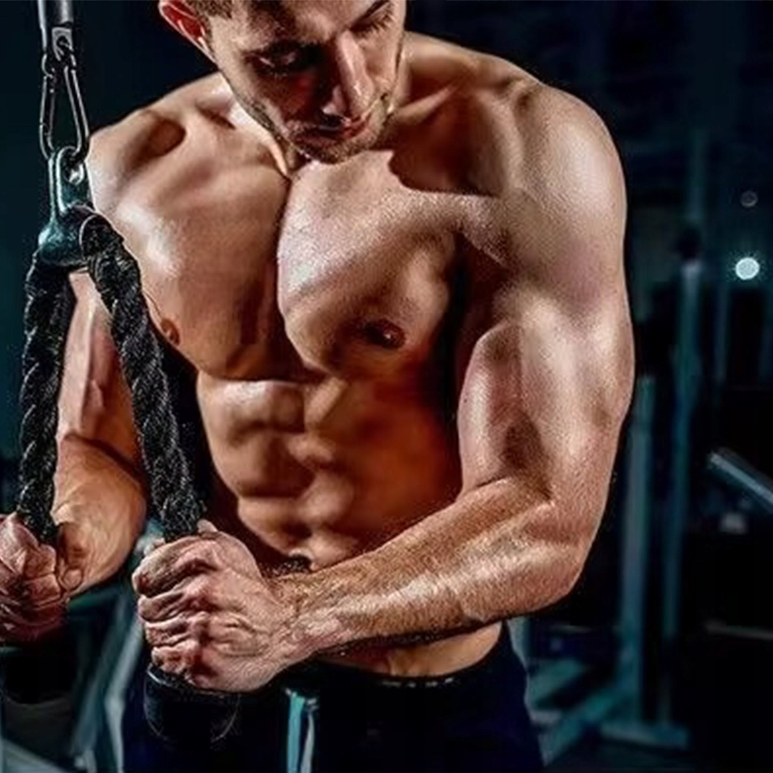 UPPER AND LOWER LIFT SET UP TO 100KG TRICEPS HANDLE FOR STRENGTH TRAINING Model WYCIĄG TRENINGOWY DO ĆWICZEŃ NA TRICEPS PLECY
