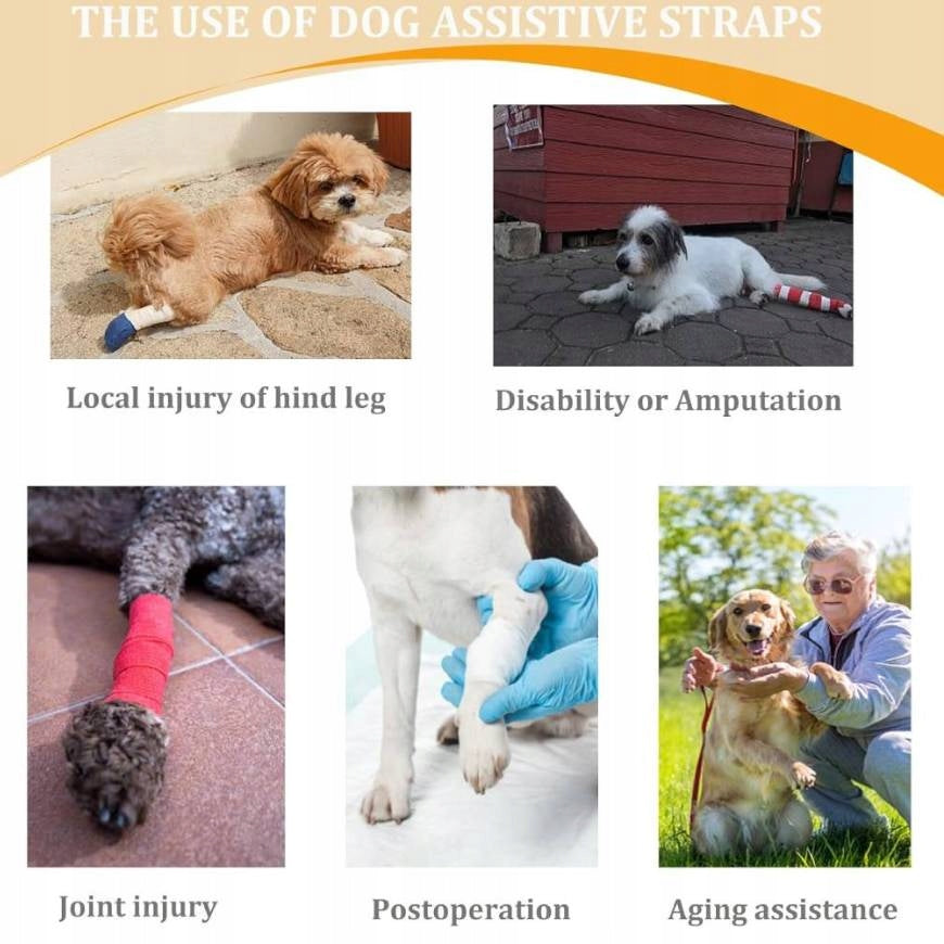 UPRZĄŻ DLA PSA SZARA XL NOSZENIE PIES SENIOR ARTROZA PO OPERACJI DO DOMU Kind walking harness