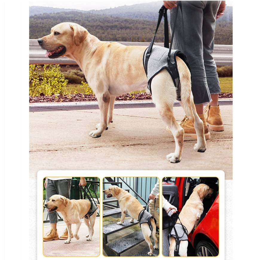 UPRZĄŻ DLA PSA SZARA XL NOSZENIE PIES SENIOR ARTROZA PO OPERACJI DO DOMU Manufacturer code Dog Harness