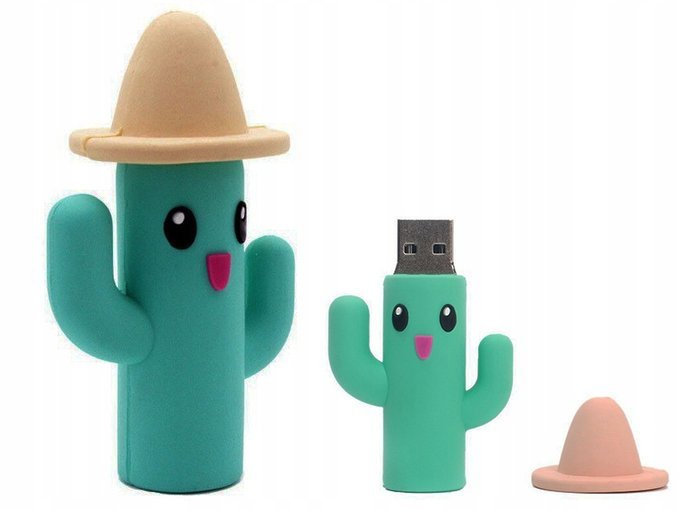USB FLASH DRIVE FAST FLASH DRIVE ULTRA MEMORY PENDANT GIFT CACTUS 64GB