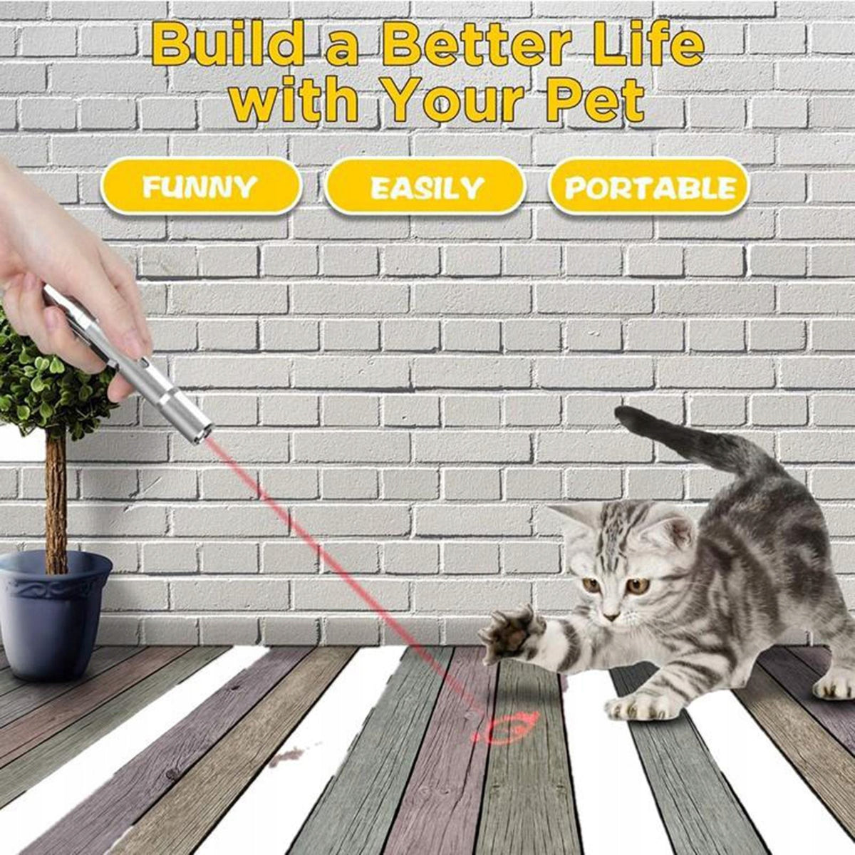 USB Rechargeable Pointer Pen Cats Kitten Dogs Pet Training Kind other