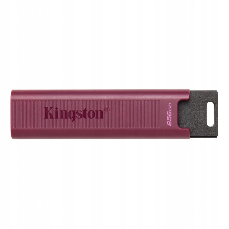 USB flash drive (USB memory) KINGSTON (1 TB \Violet )