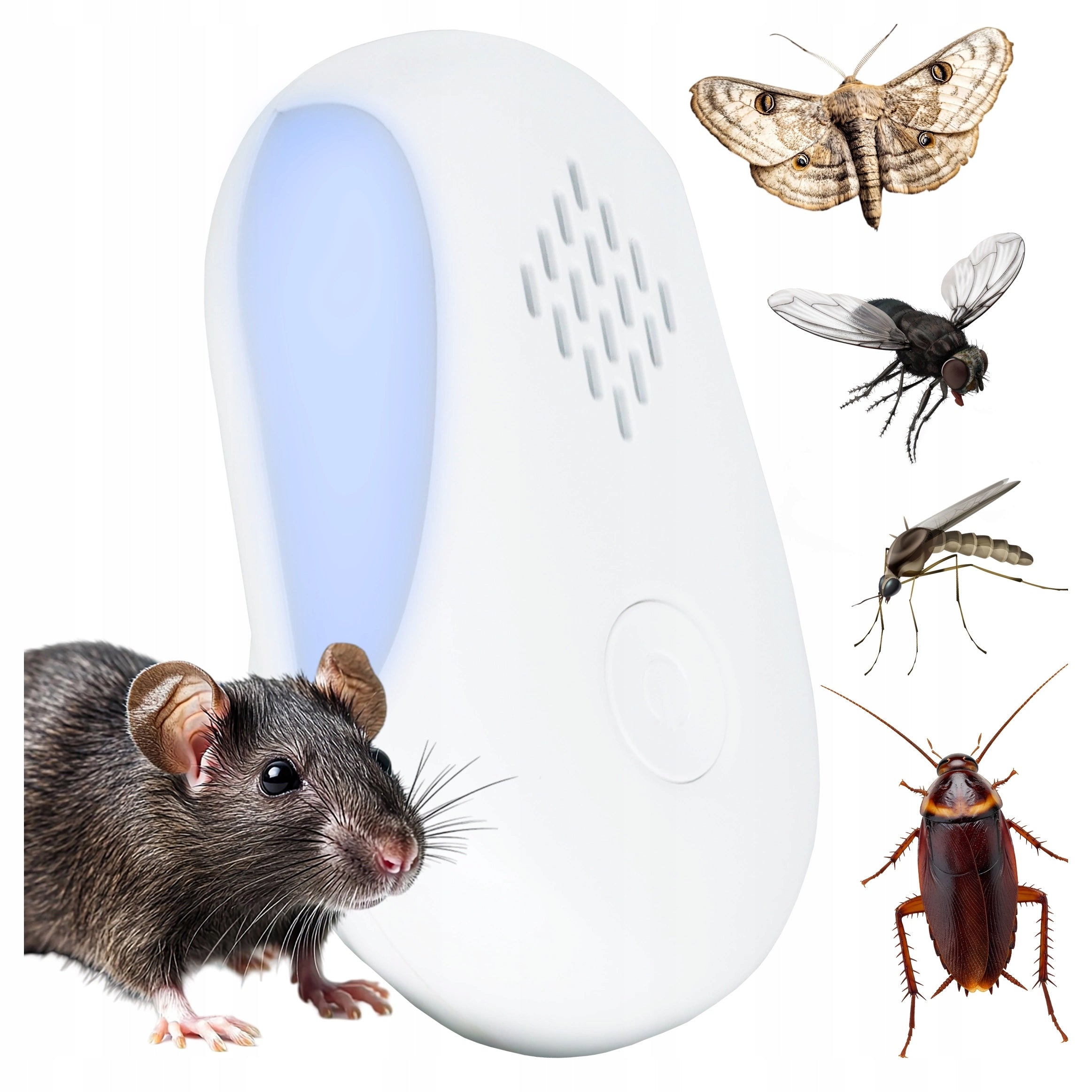 Ultrasonic Deterrent Rodent Mice Rat Insect Mounds For Nest