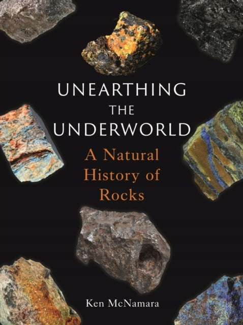 Die Unterwelt ausgraben: Eine Naturgeschichte der Felsen 