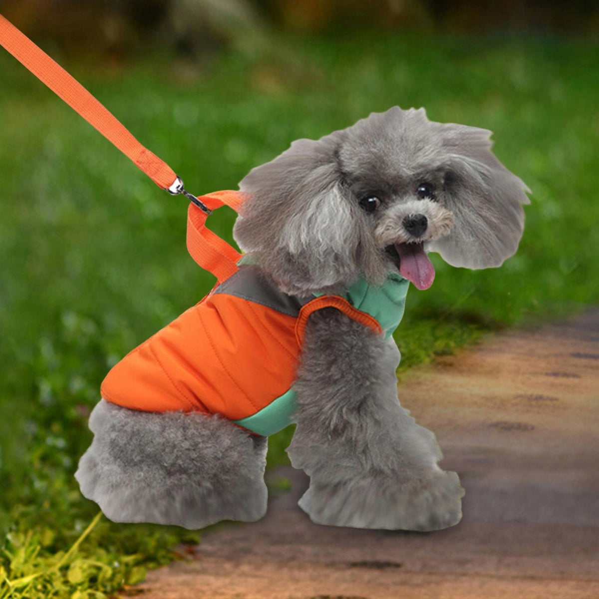 Unique Stylish Outdoor Jacket Thick Soft Fleece Lining Windproof Dog Orange