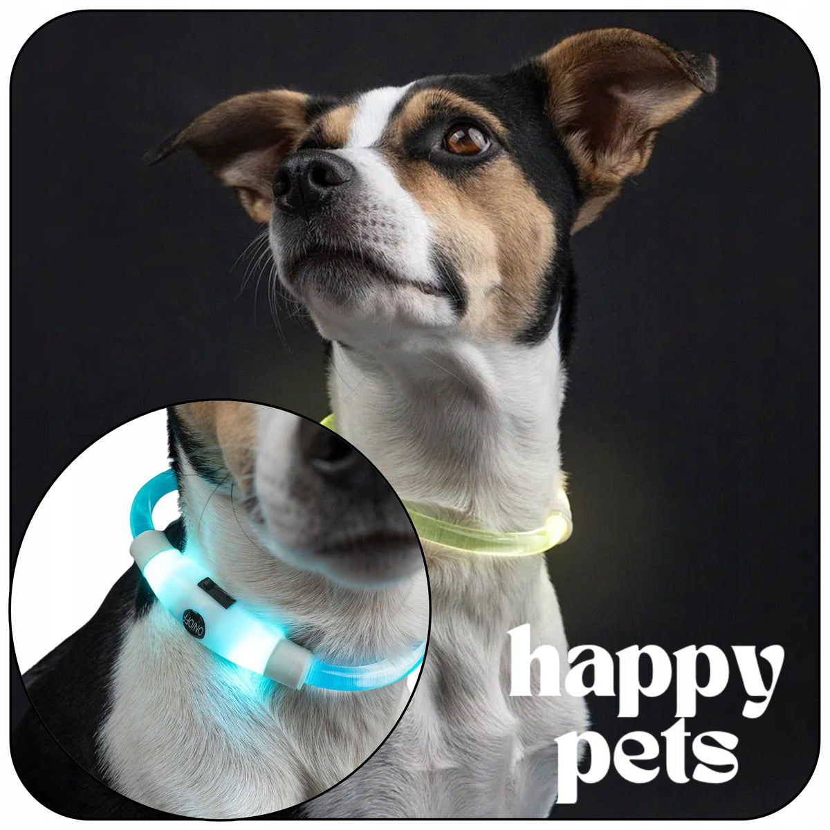 Universal collar glowing multicolored LUMINA XPRO Manufacturer code DGM-202205-MC