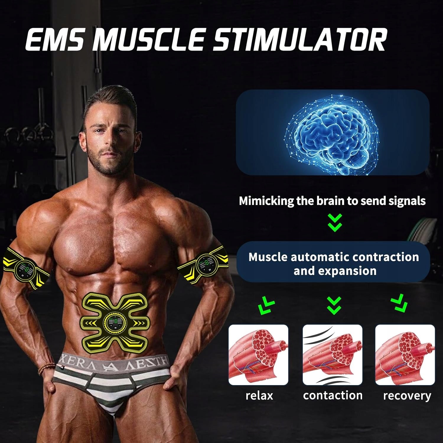 V197 Seveko EMS Muscle Stimulator, ABS Stimulator for Men and Women Manufacturer code 0762715103376