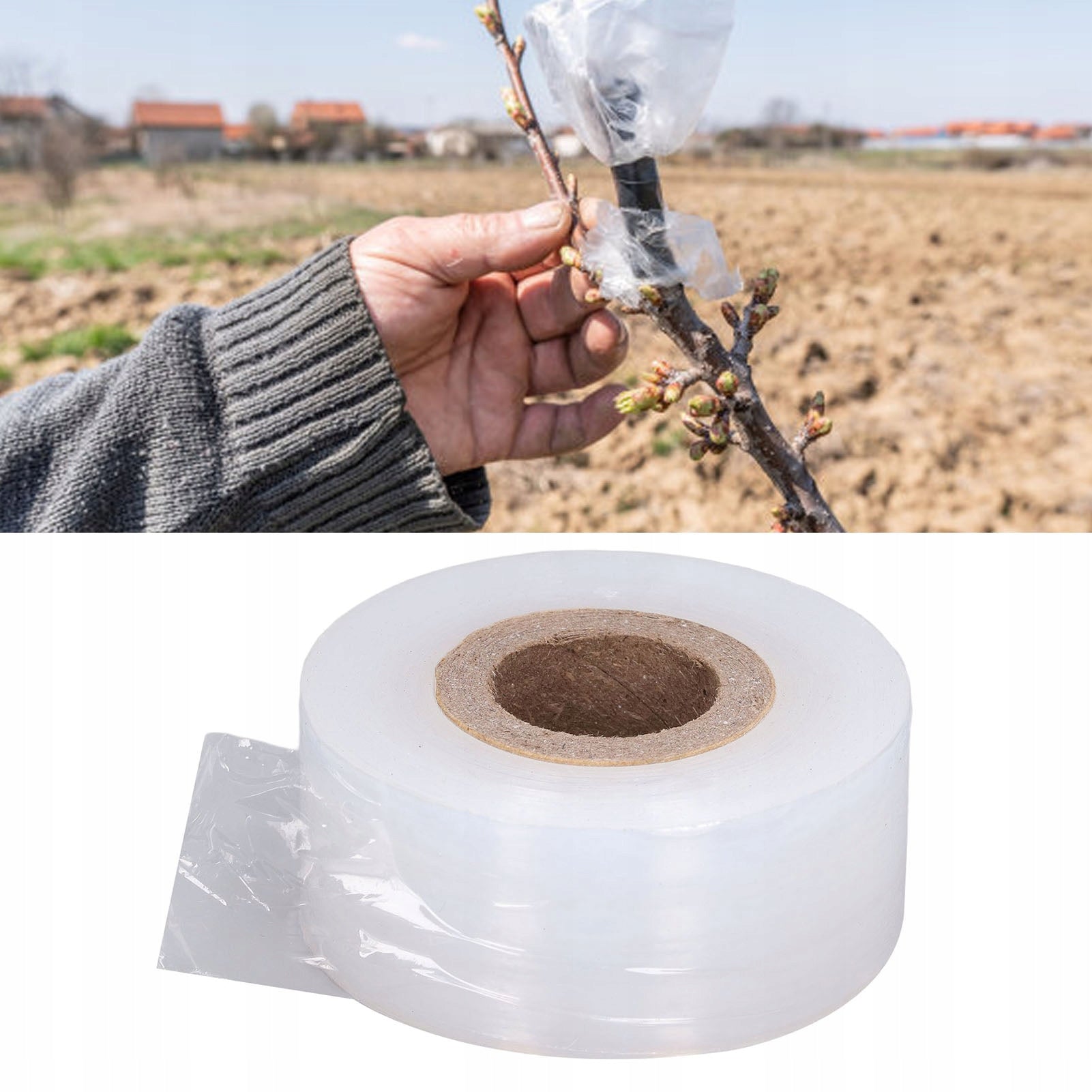 VACCINATION TAPE TREE PLANT VACCINATIONS 29MM Color white