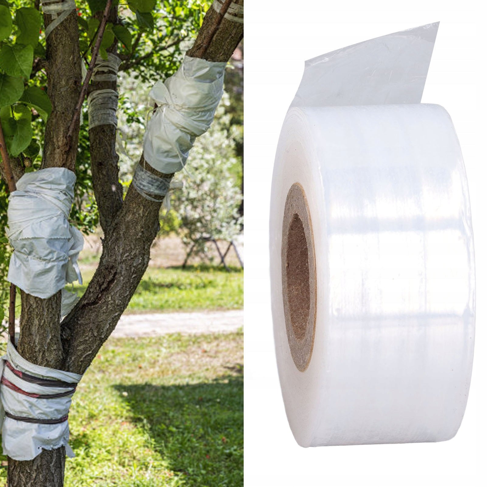 VACCINATION TAPE TREE PLANT VACCINATIONS 29MM Packaging status original