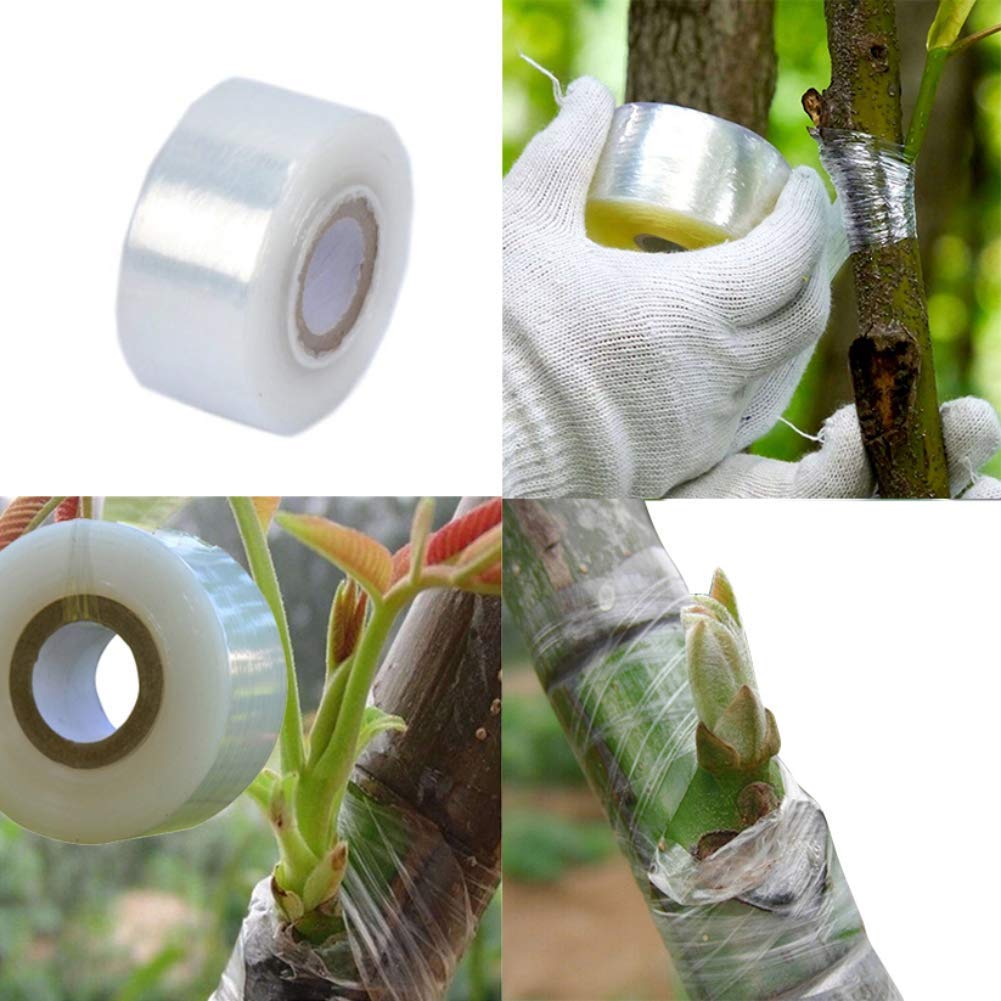 VACCINATION TAPE VACCINATION OF TREE VINES TRANSPARENT 100m Brand Kraftverk