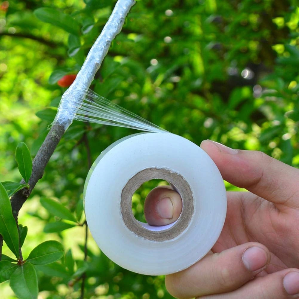 VACCINATION TAPE VACCINATION OF TREE VINES TRANSPARENT 100m Manufacturer code 806