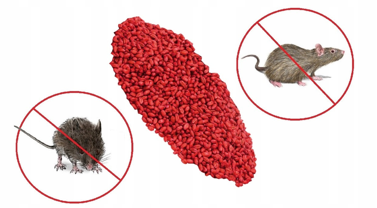 VACO Grain STRONG POison for MOUSE RATS 1kg Packaging status original
