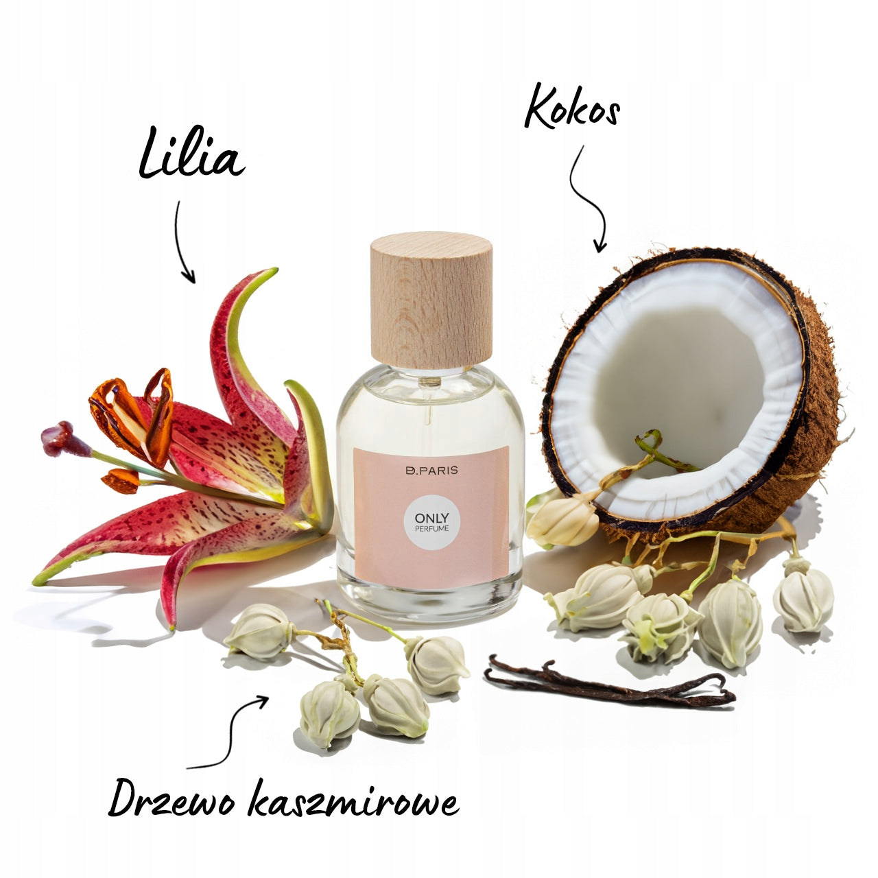 VALENTINA Eau de Parfum EDP SWEET VANILLA fragrance, 50 ml Brand PD Paris