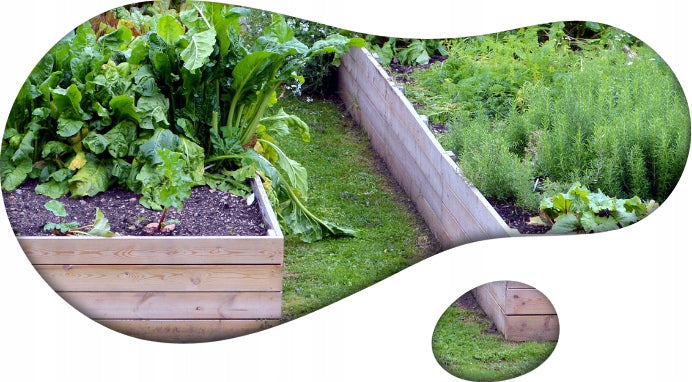 VEGETABLE Crate Vegetable Inspection Raised Bed 120x40x9cm Product weight with unit packaging 3 kg