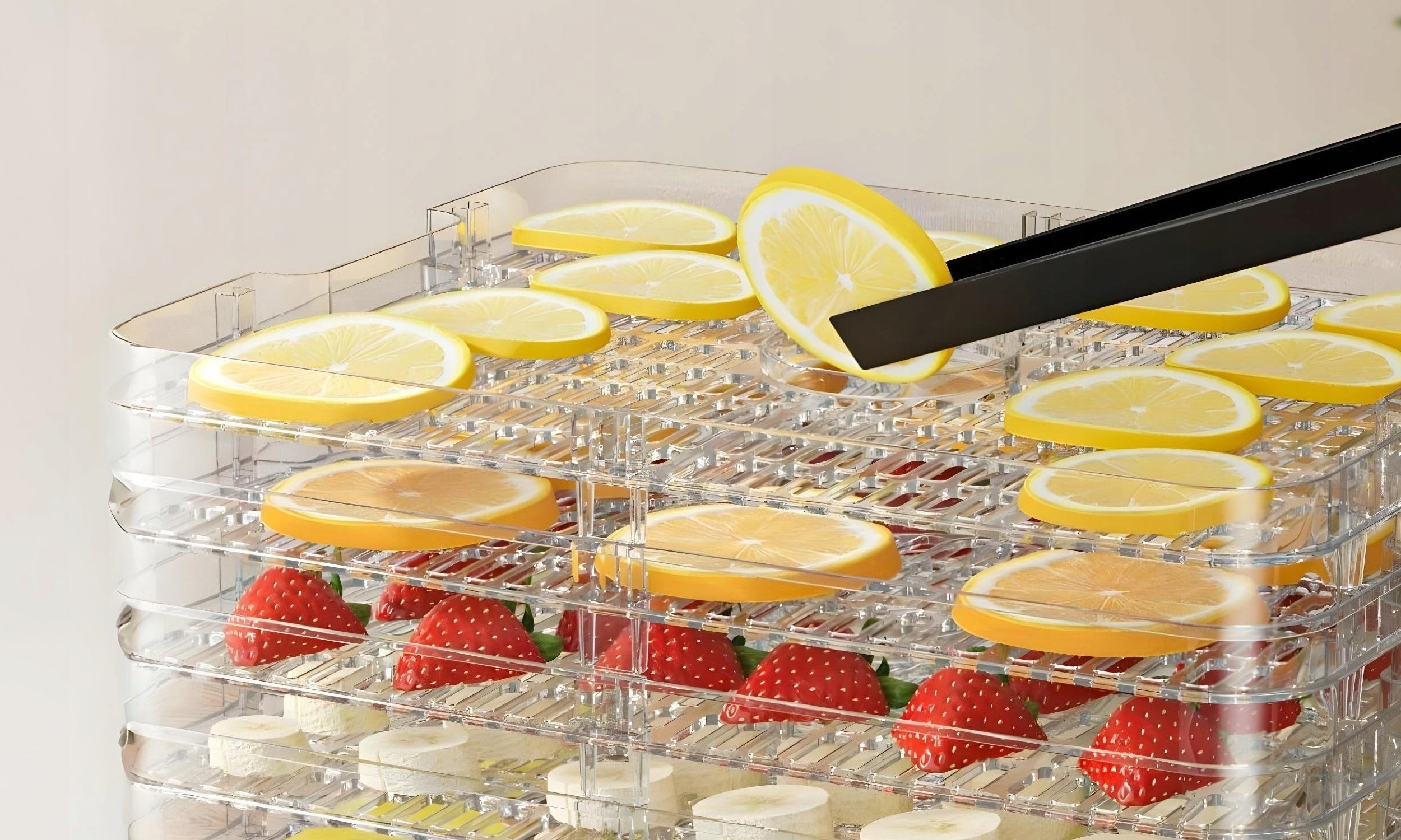 VEGETABLE FRUIT MUSHROOM DRYER LARGE 15L TIMER THERMOCOUPLE 500W + 6 SIEVES Number of sieves 6