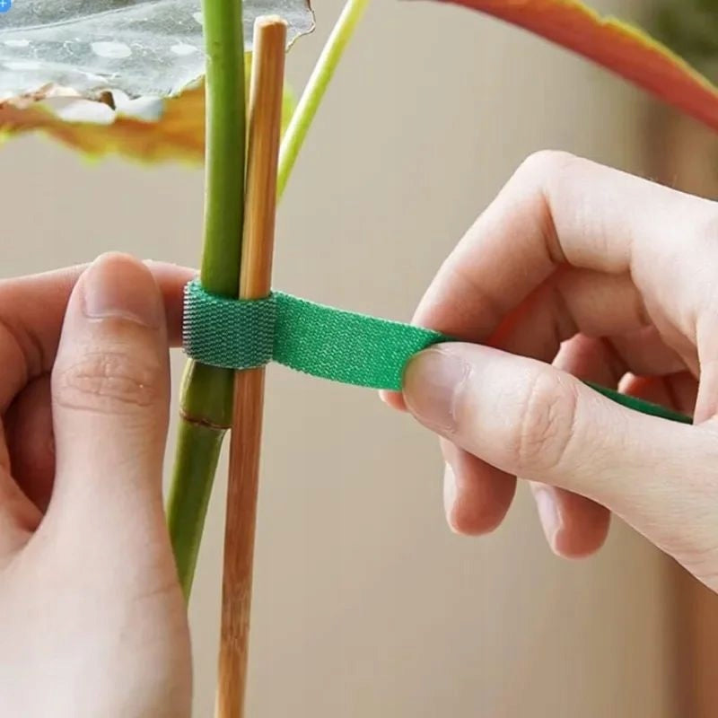 VELCRO GARDEN TAPE 5M GREEN FOR LIGATING TOMATO PLANTS Brand Simplo