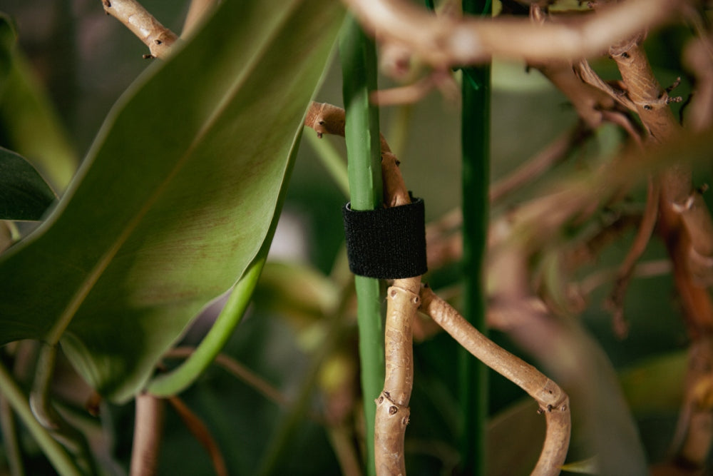 VELCRO TAPE 19mm x 2m FOR BINDING PLANTS REUSABLE BLACK VELCRO BRADAS Manufacturer code TYHLT19002/BK