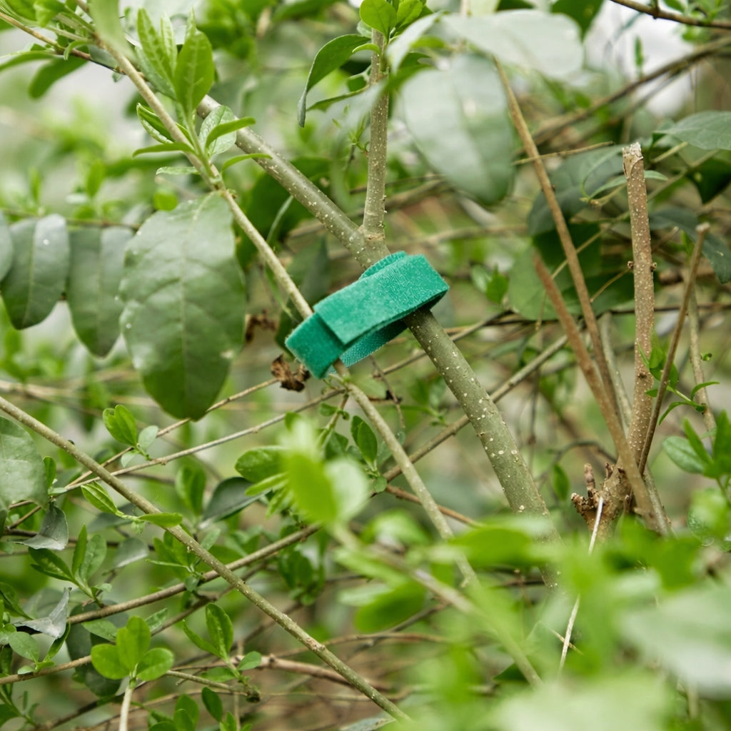 VELCRO TAPE FOR FLOWER PLANTS FOR TYING HEADBAND GREEN 5m 1cm Dominant material plastic