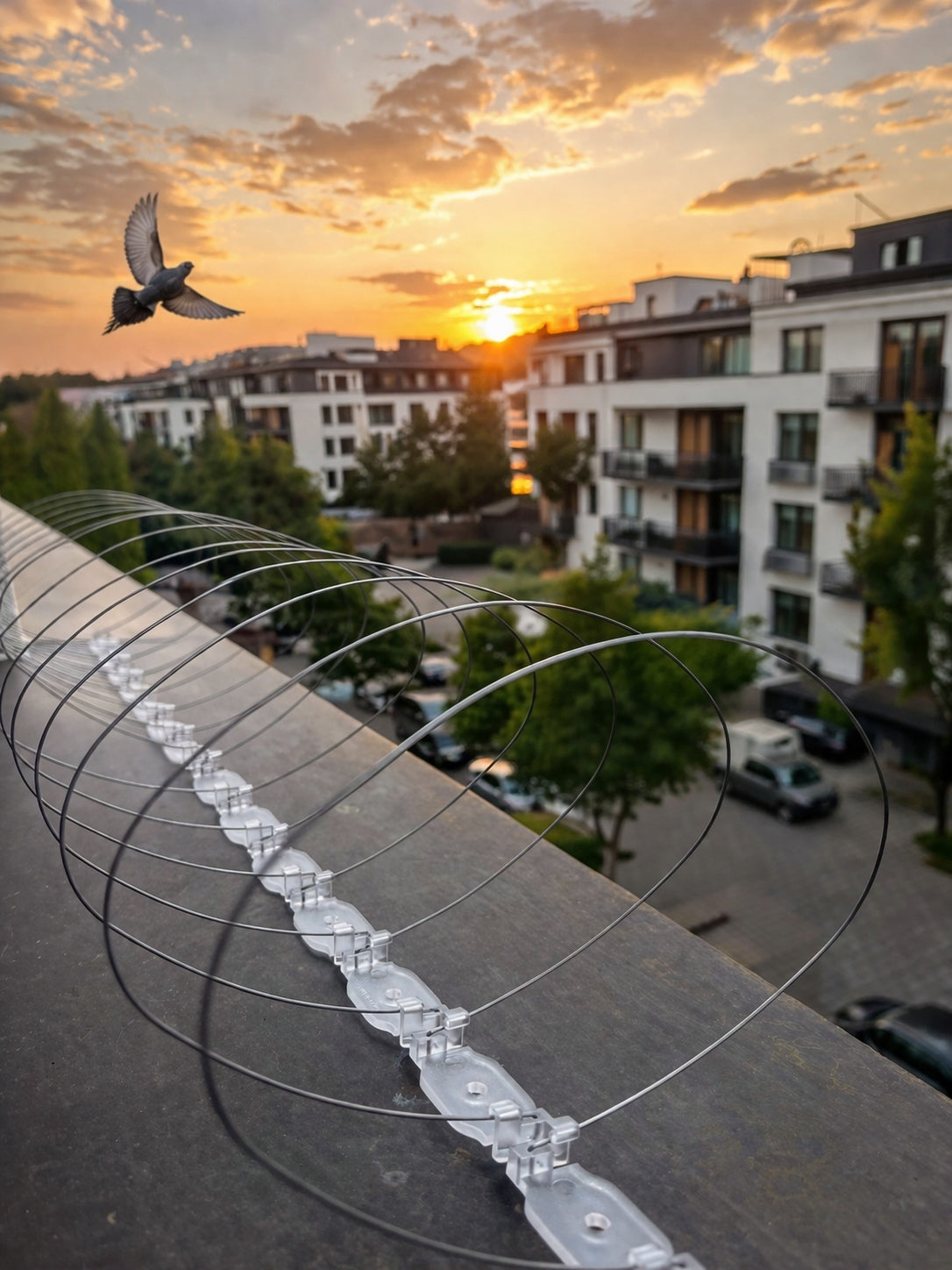 VERY WIDE SPIRAL FOR BIRDS, PIGEONS, SPIKES PROTECTION AGAINST BIRDS O-17 Brand JACOPIC