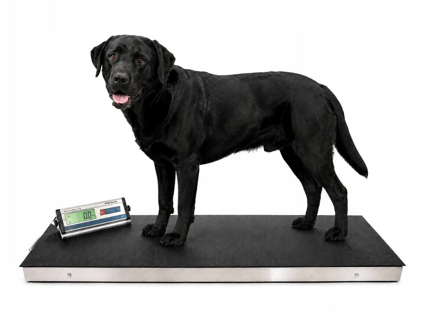 VETERINARY SCALE WITH OFFICE MAT 300kg FOR CAT DOGS PETS Manufacturer code Waga Weterynaryjna 1