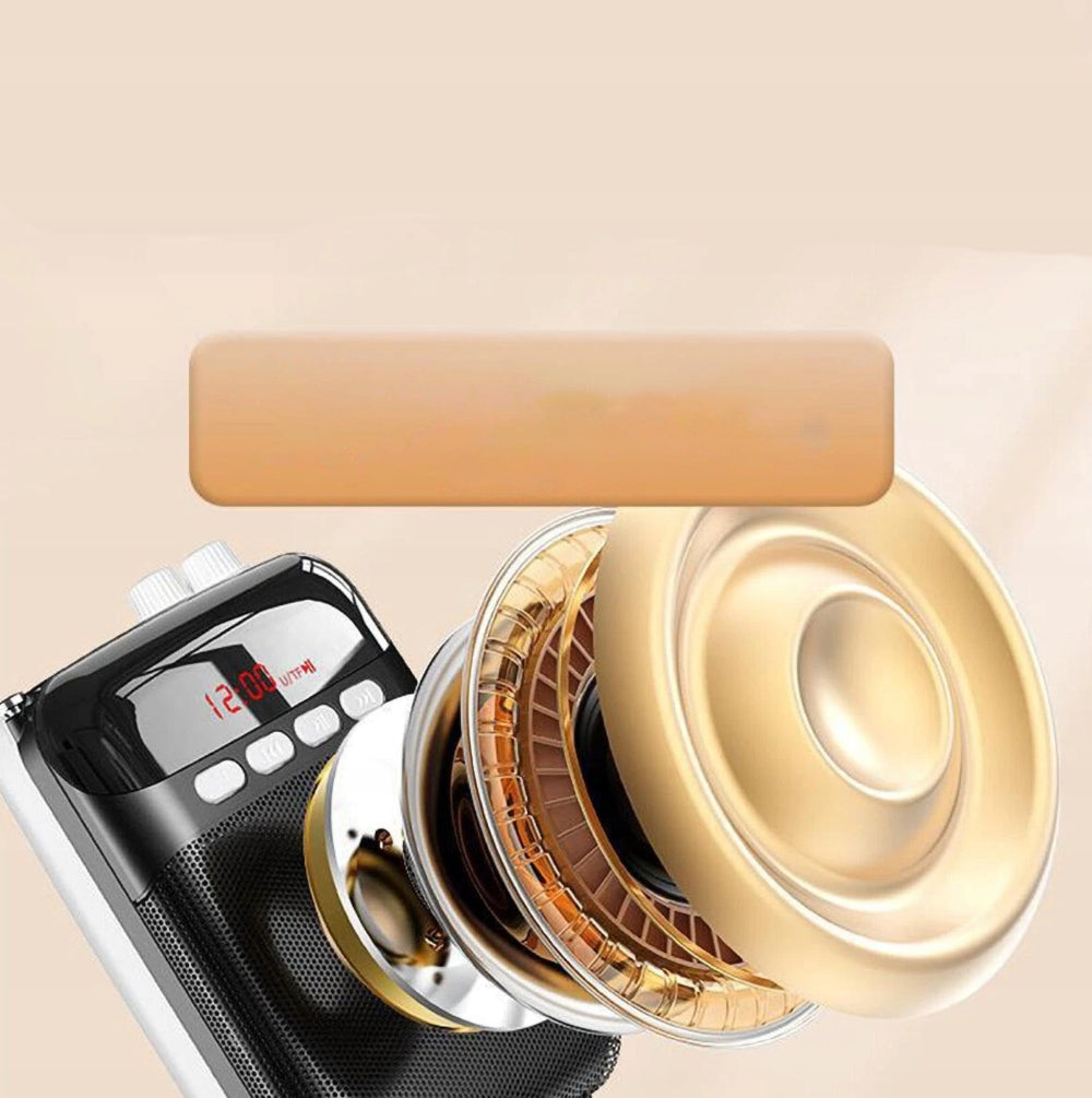 VOICE AMPLIFIER MICROPHONE WITH SPEAKER FOR PRESENTATION OF TEACHING MEETINGS Brand no brand