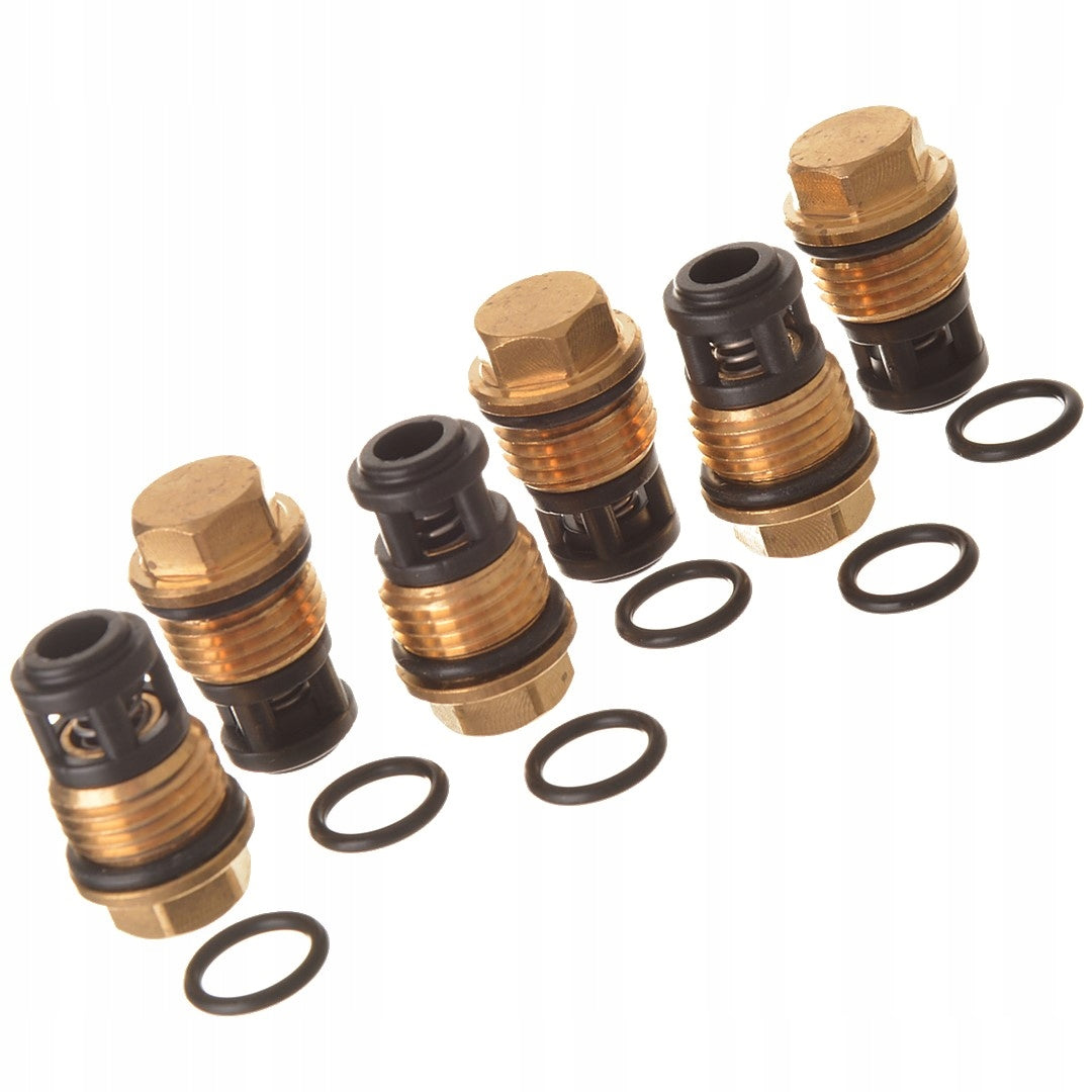 Valve repair kit 43.096-1 valves for washer pump KRANZLE 1050 TS T