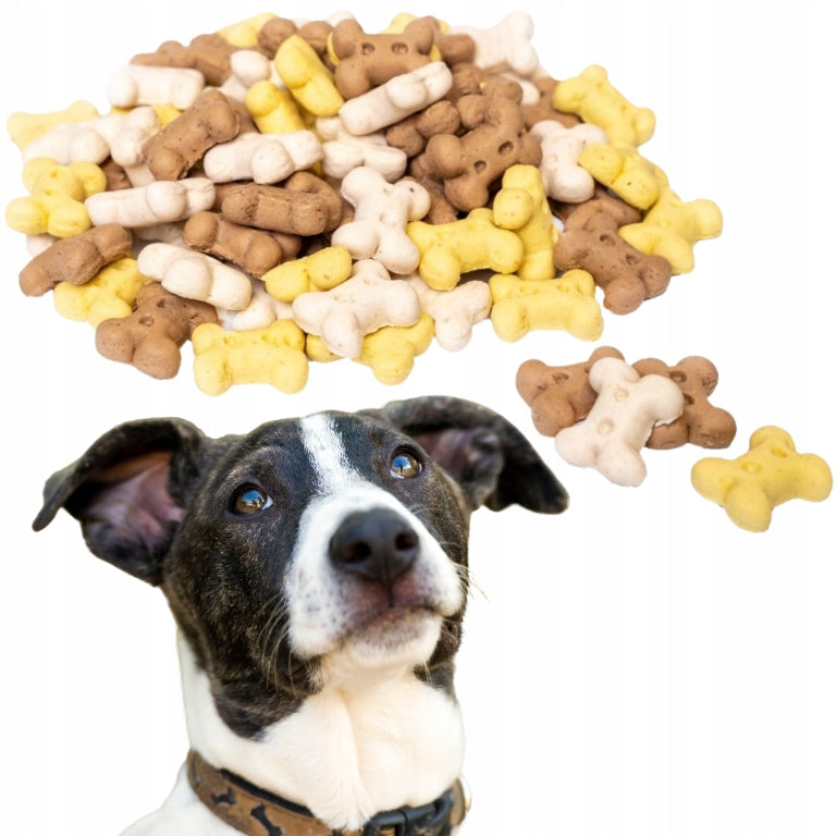 Vanilla Cookies for Dogs DICE Training Treats 2 kg