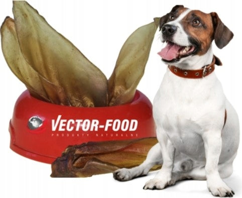 Vector-Food Beef Ear Dried Teether 10pcs.