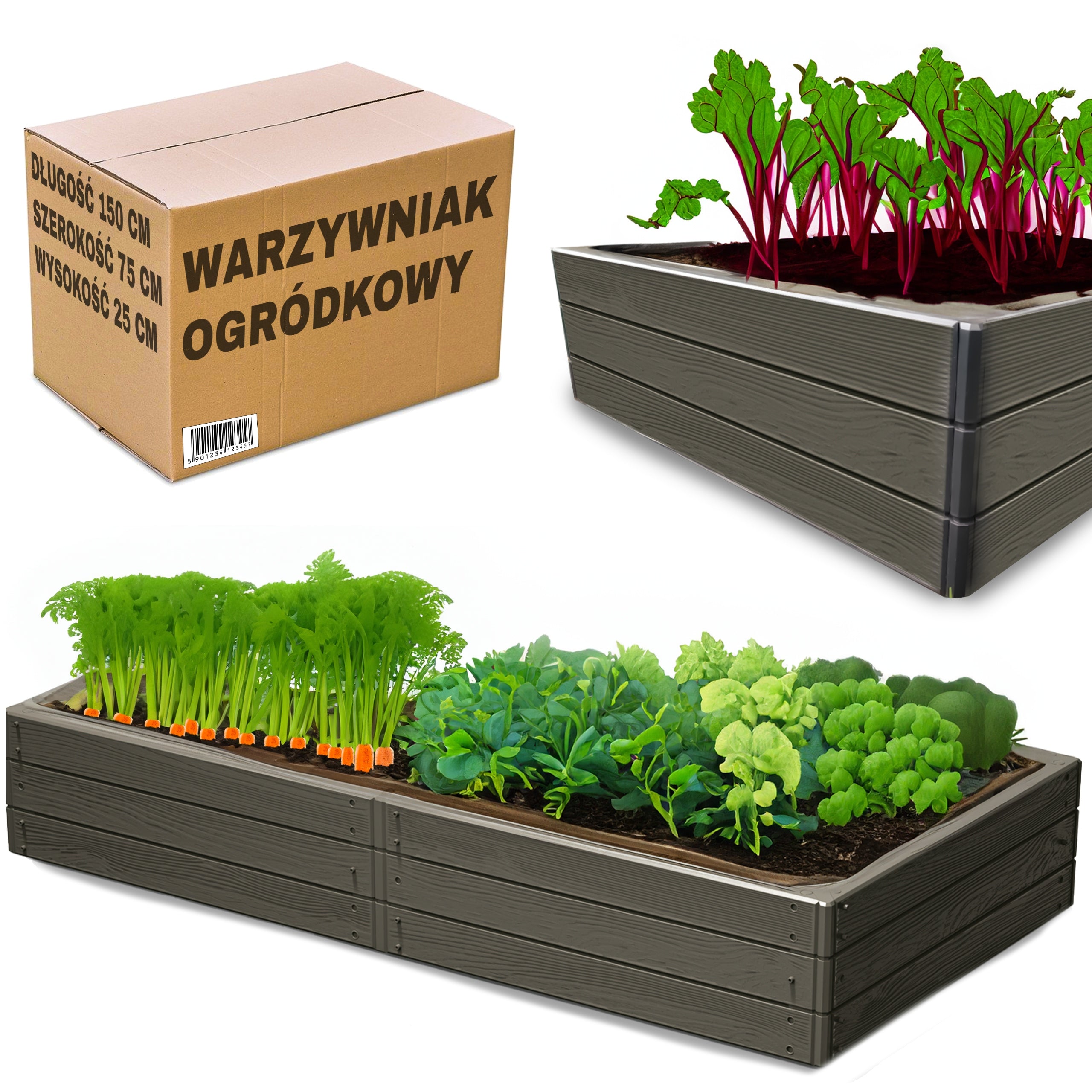 Vegetable Box 150x75 cm Garden Box Herbarium Bed - Anthracite