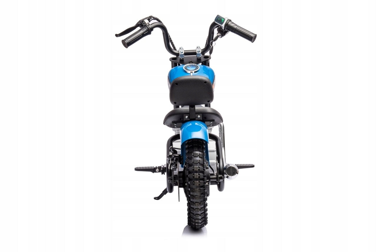 Vehicle Motor SPEED Power Blue Load up to 80kg Brand Ramiz