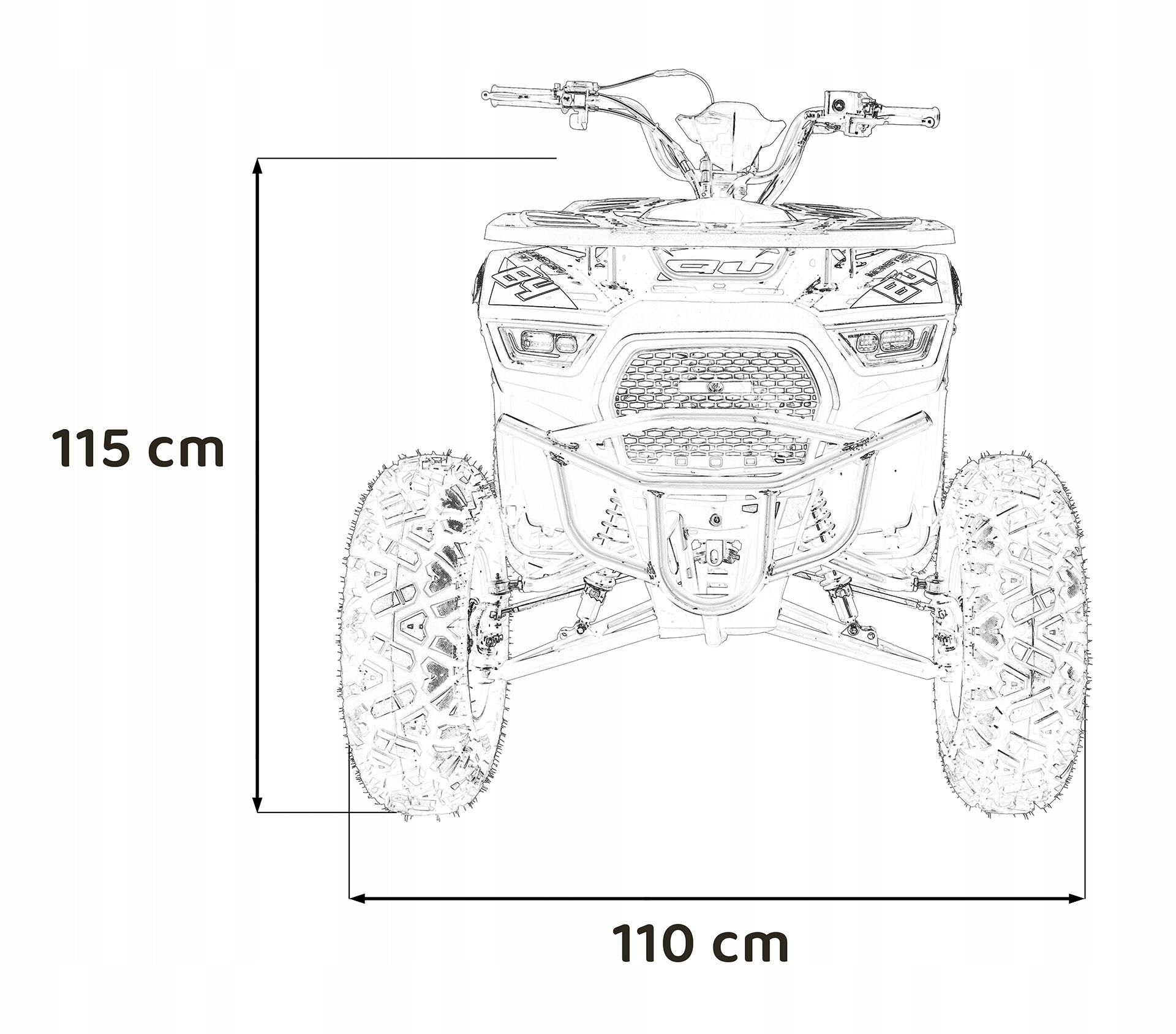 Vehicle Quad Combustion 200CC MONSTER Black Brand Ramiz