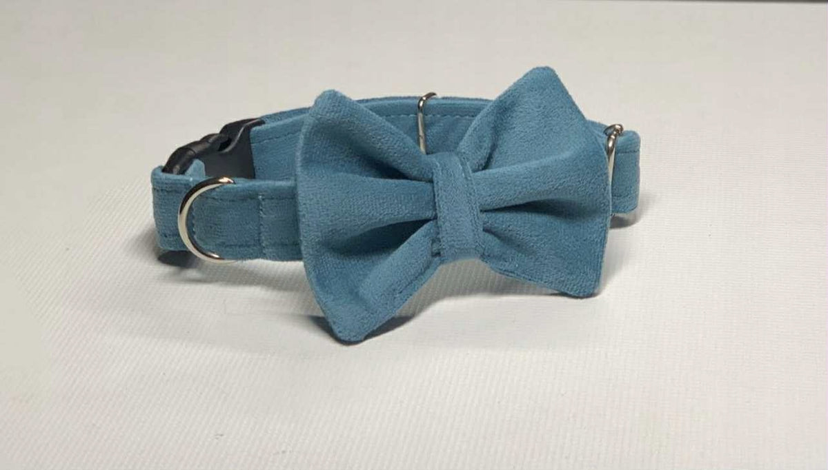 Velour collar with bow fly bow for dog