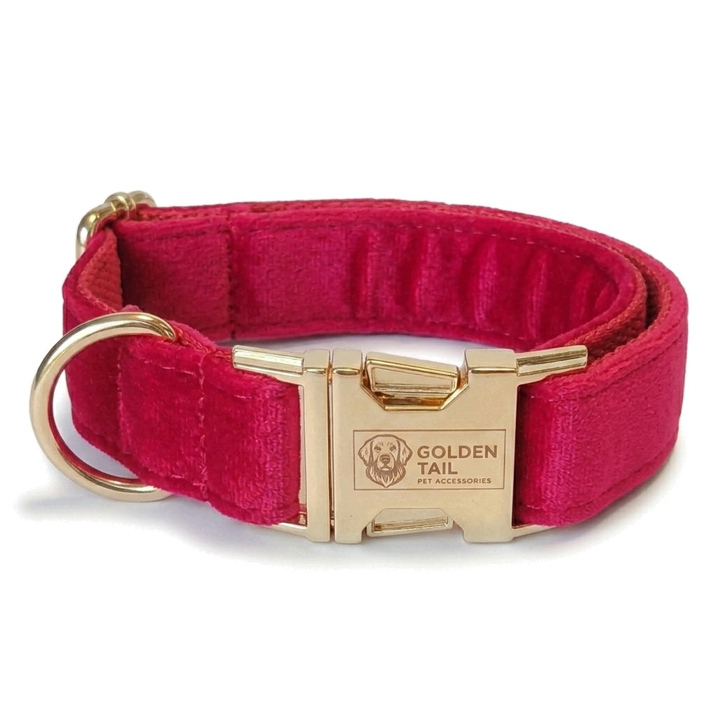 Velvet Dog Collar Red S GoldenTail Gold Clasp