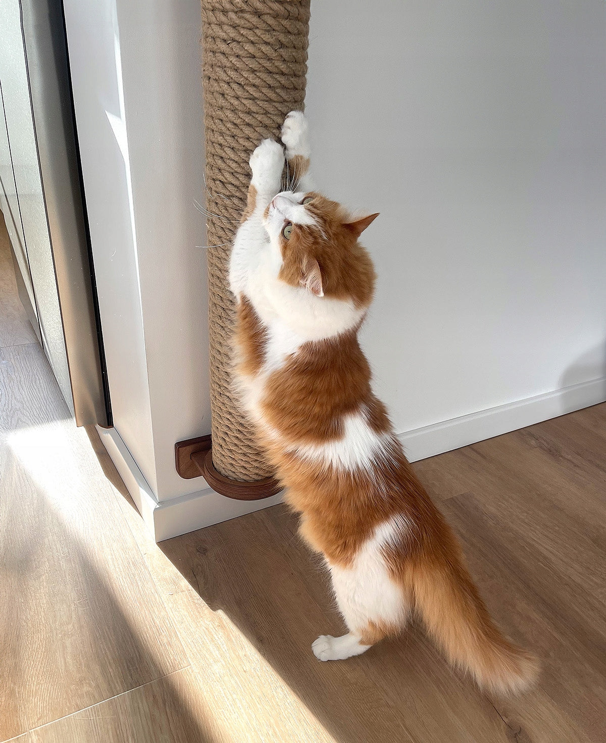 Vertical wall scratcher for cat M-80 cm large stable + screws Dark Brown Height (cm) 61 - 100 cm