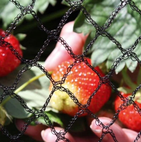 Very Strong BIRD NET with UV wide 5m cut TO SIZE thick 35g Use Against birds wild animals