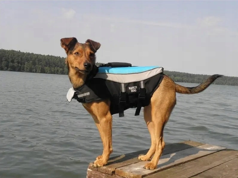 Vest Life Vest for dog Aquarius Pupil II M 8-15kg WEJHEROWO SUP Manufacturer code PUP000008